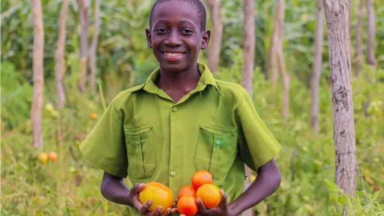 Existenzsicherung Simbabwe