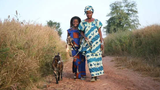 Landwirtschaft Senegal