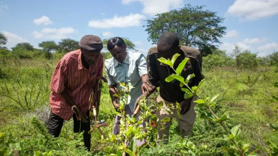 Als Unternehmen Globale Initiativen unterstützen