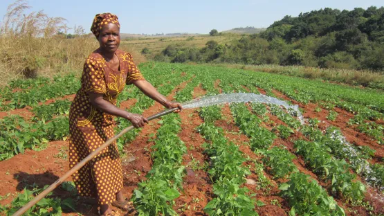 Gesundheit und Ernährung in Eswatini stärken