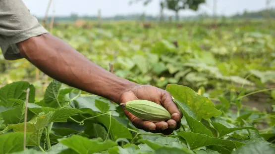 Umweltschutz in der Landwirtschaft